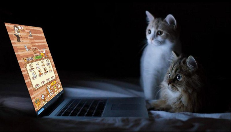 CatizenAI's tweet photo. I've seen lots of Catizens in the community post their own cats, and they're all as cute angels!😺
🪙 Let the cat bring you Fish Coins!

Don't forget to add your UID when posting cute cat and catizen game related content!

Come and show your kitty to the community!🚀 https://t.co/2kHlqAF9fX