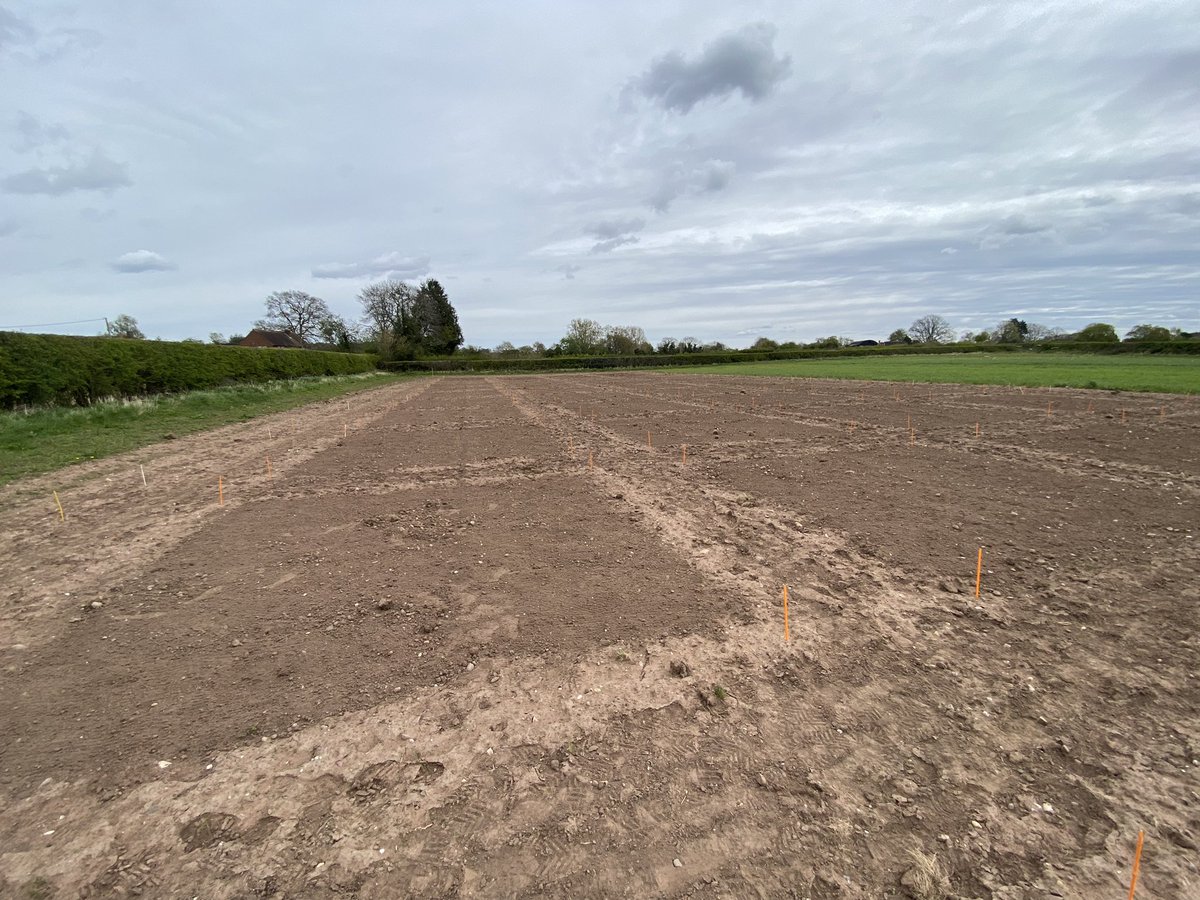 TAJ1990's tweet photo. After waiting for the rain to stop and the trial area to dry out enough before the next rain fell, I have finally sown the final trial of my PhD! @NicolaPRandall @DrJohnReade @H2020Cropdiva thank you to all the other students that helped to sow the trial today! https://t.co/VGAHRsWCpE