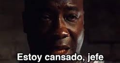 Nando 愛 tweet media