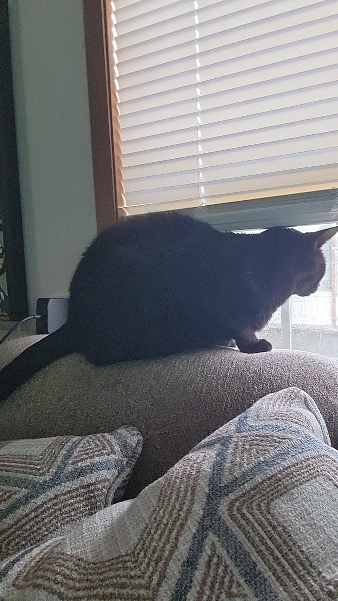 Off The Cuff Tom tweet media