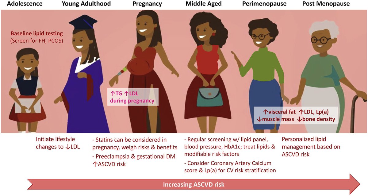 Unique features of dyslipidemia in women across a lifetime and a tailored approach to management Neeja Patel @nikitaaa_mittal @MWilkinsonMD @PamTaubMD sciencedirect.com/science/articl…