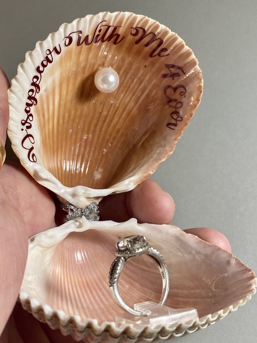 merman sh proposing to his marine biologist boyfriend hj
