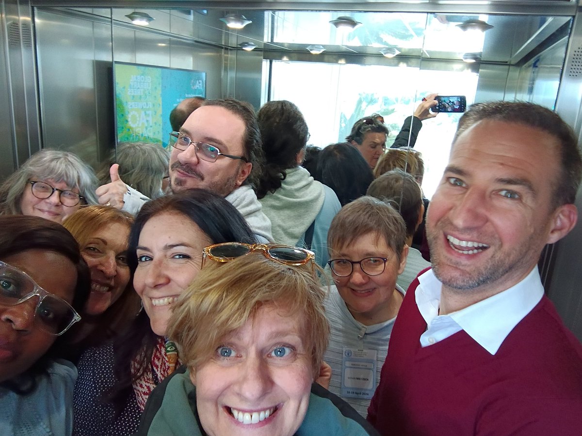 fernandapeset tweet media