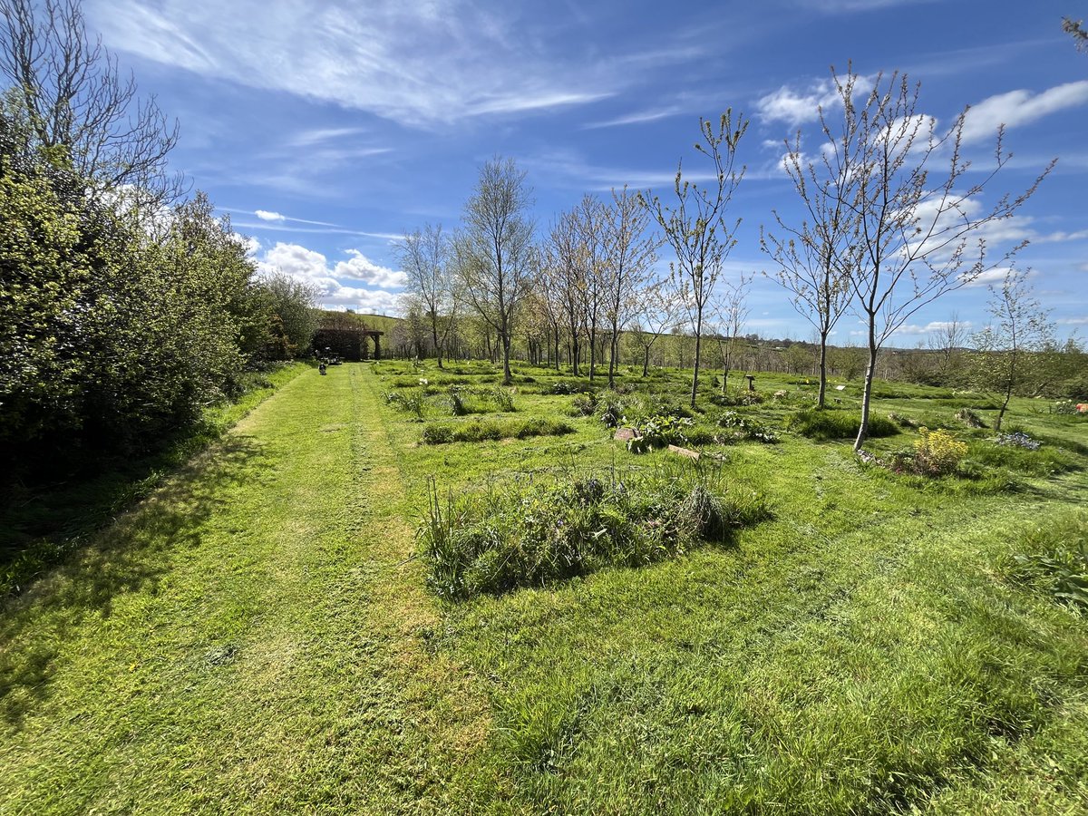 Look…Sun! ☀️☀️