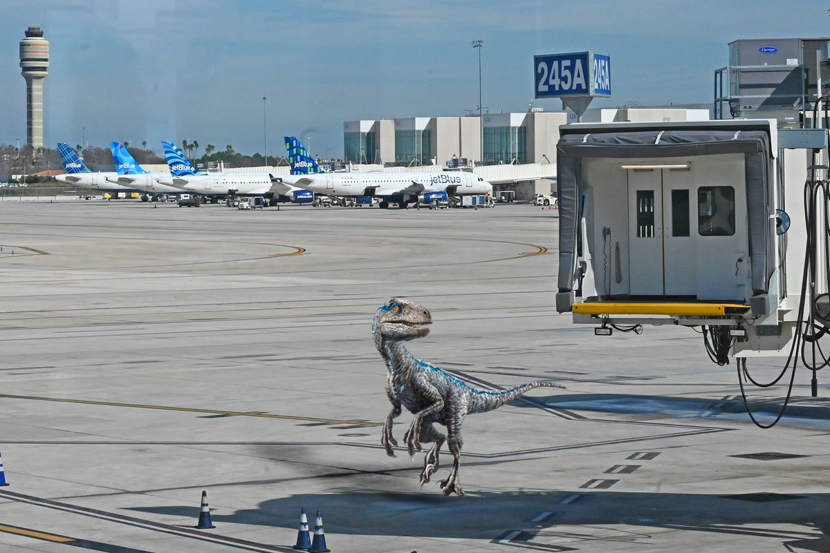 When you thought you booked with JetBlue, but you actually just booked with Blue. 🦖 #NationalVelociraptorAwarenessDay