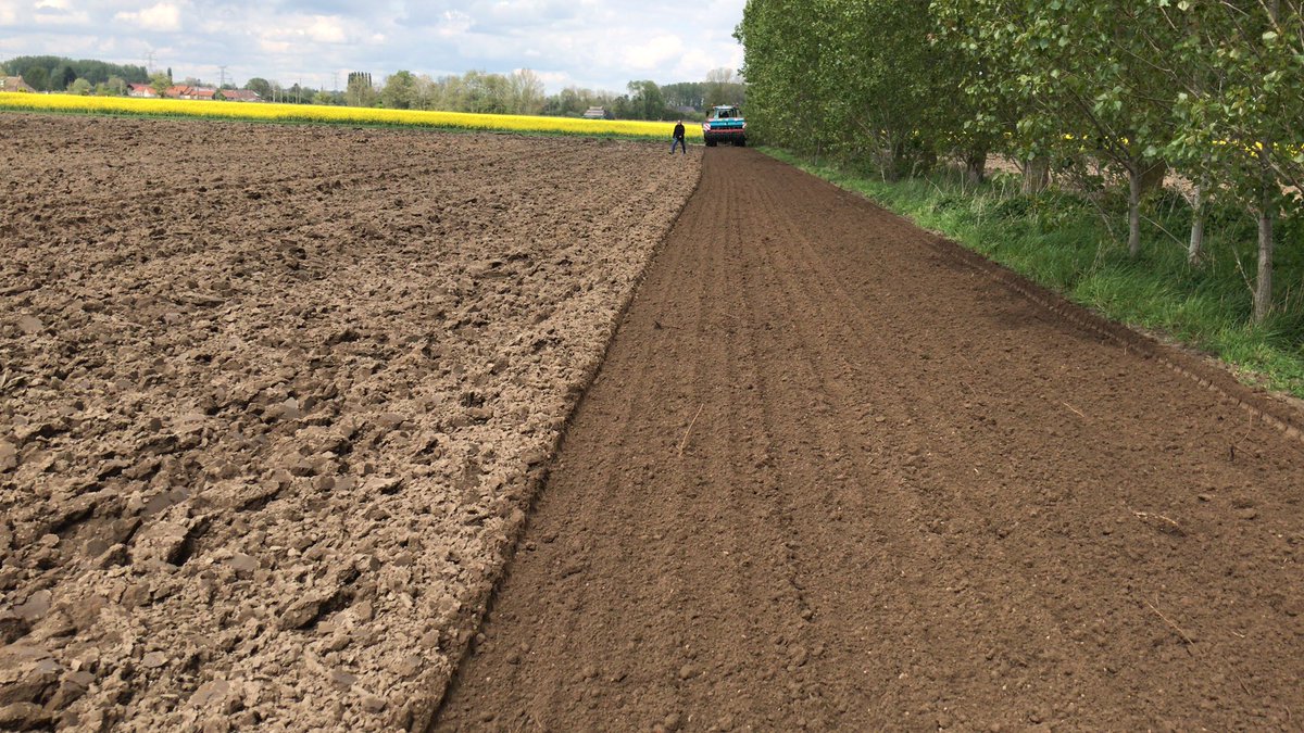 Dernier chantier de semis pour récolte 2024 chez <a href="/GroupeFDesprez/">Florimond Desprez</a> ! 
Super conditions vu le contexte 💪
#Entrelesgouttes
#FrAgTw
#Blédeprintemps