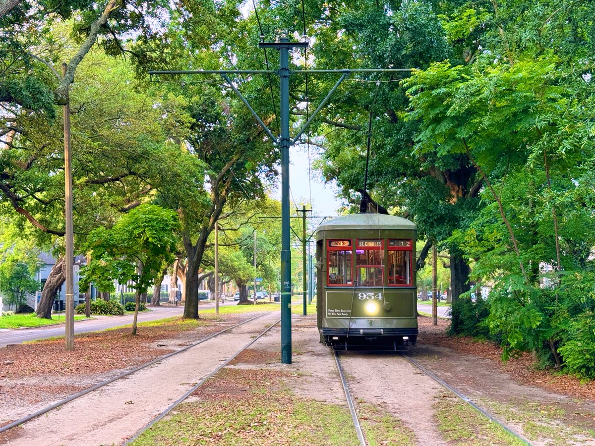 Such a beautiful morning on South Carrollton Avenue! 🌞🌳🚃 #GoodMorning #NewOrleans