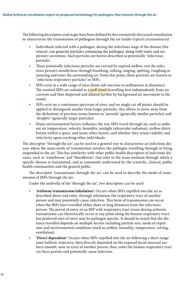 @trishgreenhalgh 👀 …and there it is… in black & white! “Puff cloud” ☁️ Nope, you really weren’t joking. 🤦🏻‍♀️ cdn.who.int/media/docs/def…