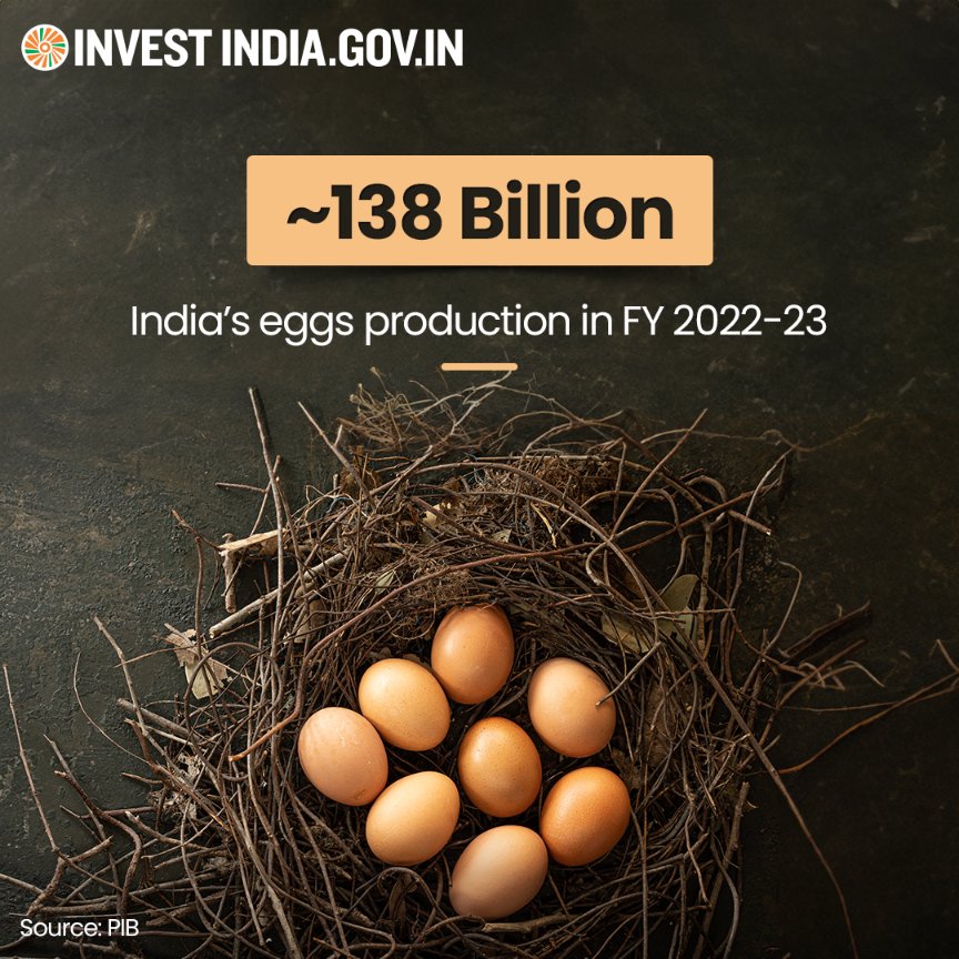 Cracking records on the global stage, India ranks 2nd in #eggproduction, fuelling nutrition for all and the sector's growth.🥚 

Explore more at: bit.ly/II-FoodProcess…

#InvestInIndia #InvestIndia @DominicRaab @RishiSunak @biztradegovukIN @IndiaInScotland @citylordmayor