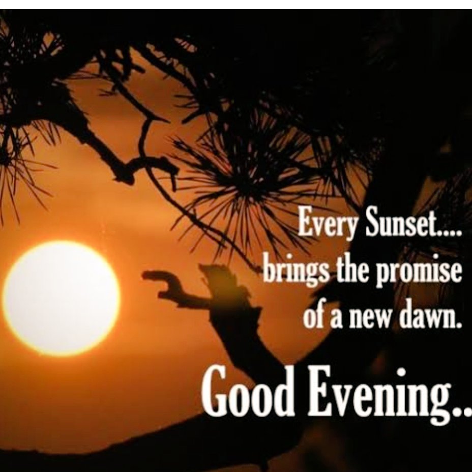 Assalam o Alaikum 

Good evening

I hope you all had a good day 🫶
