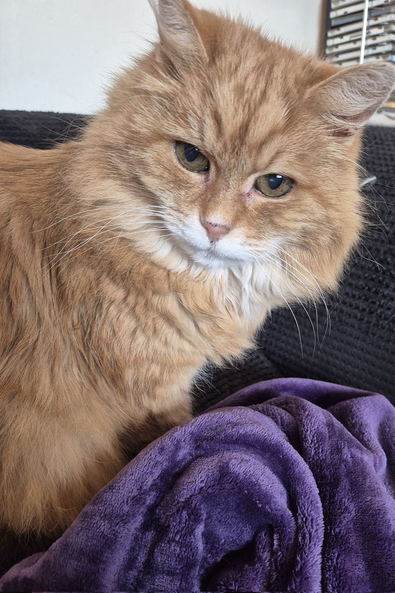 RED'S JEWELS tweet media