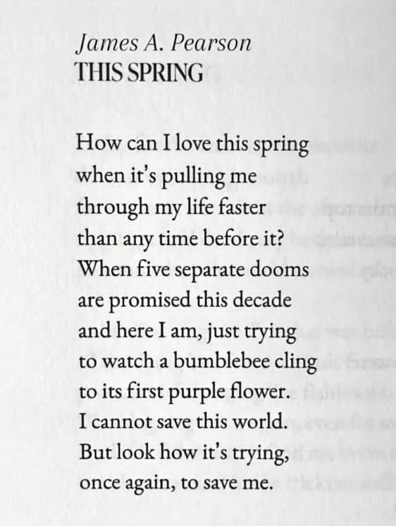 JessTaylorHRH's tweet photo. this is a beauty of a poem ✨💛
#ThursdayVibes #HopeIsAMuscle #xo https://t.co/lh2jMrDRxe