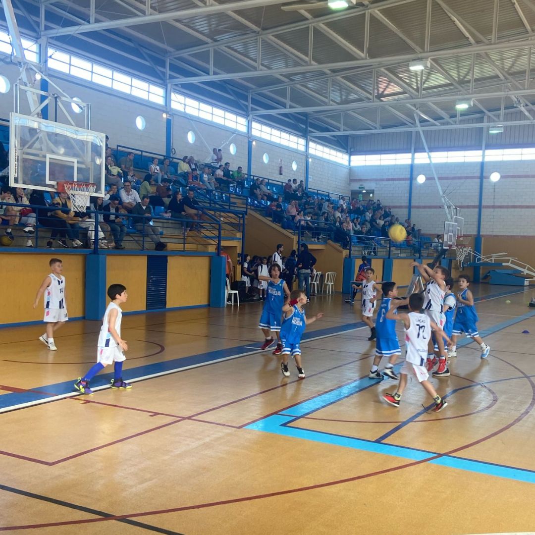 CiudadDeHuelva's tweet photo. 🎉 ¡Diversión en grande para nuestros pequeños!

🏀💫 El pasado fin de semana, disfrutaron al máximo en la Séptima Fiesta Premini en La Palma del Condado.

¡Momentos inolvidables de baloncesto y alegría!

#FiestaPremini 🌟🏀 https://t.co/kzPJL7Wosp