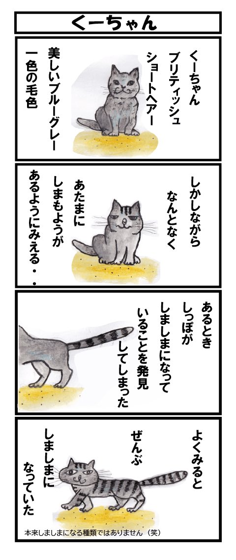 何か違う気がします笑
 #ねこ #四コマ漫画 