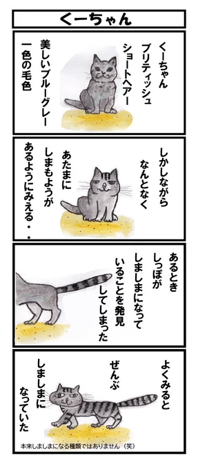 何か違う気がします笑
 #ねこ #四コマ漫画 
