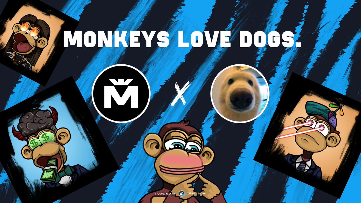 monkeyempiree's tweet photo. Monkeys love dogs. 🦧💙🐕
To celebrate the timeless love between animals
@monkeyempiree partners with @boopthecoin 🤝
All holders of $MKC and $Boop tokens can mint a free Ape Alert NFT at this link : https://t.co/EiwMi56SSM  
💙 Long live #Arbitrum zoo 💙
🏆 5 NFT #Giveaway for the best comments (drop your Arbitrum Address)