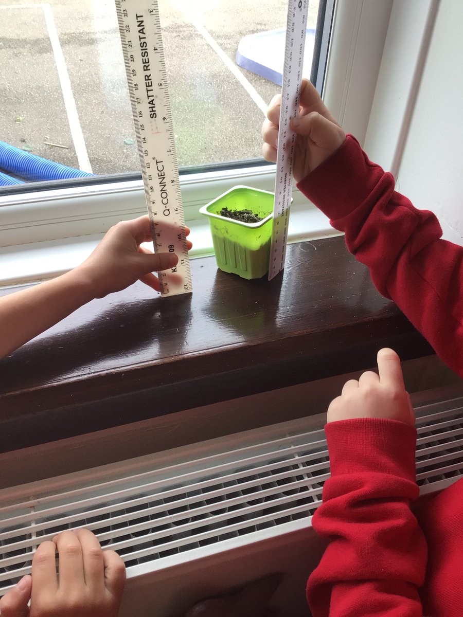 StoneferryPS's tweet photo. Year 2 have learned how to measure in cm today, they enjoyed going around the classroom and finding out the lengths and heights of different objects #spsyear2 #spsmaths https://t.co/ZuAN6WhLzd