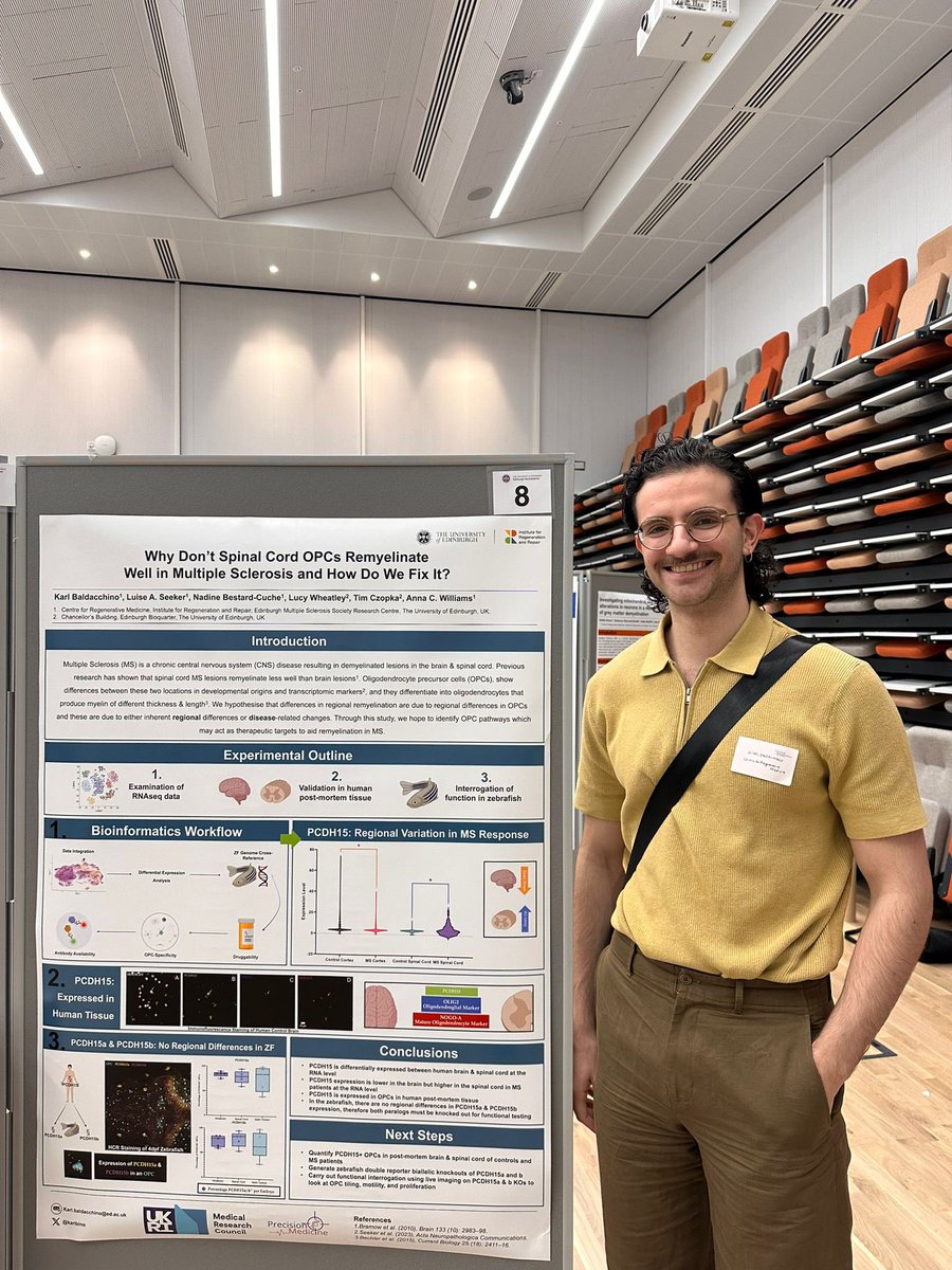 Come see our PhD student @Karlbino at the #edneuroday Poster number @AnnaWilliamsLab ‘Why don’t spinal cord OPCs remyelinate well in Multiple sclerosis and how do we fix it?’