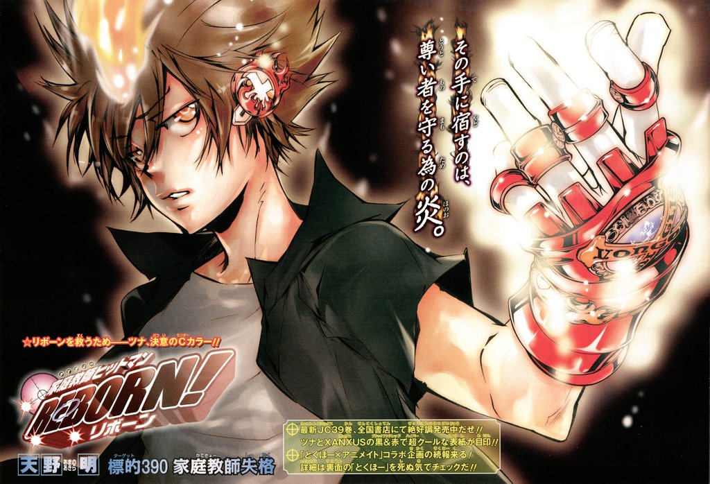 家庭教師ヒットマンREBORN! 沢田綱吉 特大 布敷ポスターの通販