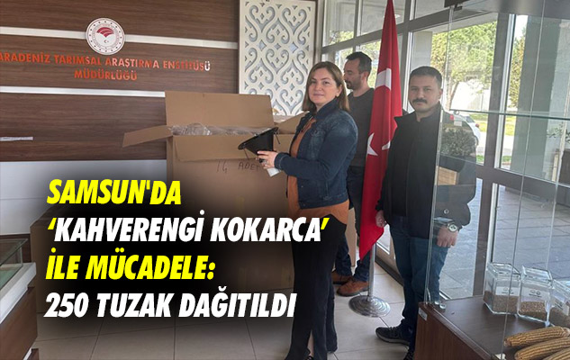 SonHaberSamsun's tweet image. samsunsonhaber.com/haber/5477830/… #kahverengikokarca #tuzak #dağıtım #samsun