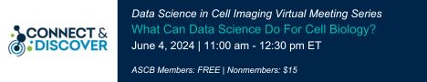 Discover the synergy of data science and cell biology at ASCB’s Connect & Discover Virtual Meeting: 'What Can Data Science Do For Cell Biology?' on June 4! Hear firsthand from experts like Guillaume Jacquemet and Olivier Pertz. Learn more and register: ascb.org/ascb-meetings/…