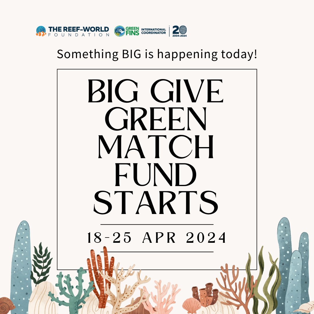 The Reef-World Foundation participates in the Big Give Green Match Fund for the first time! Reef-World aims to raise awareness and funds to protect these invaluable marine ecosystems. 👇 Click to join us to save our reefs! donate.biggive.org/campaign/a0569…