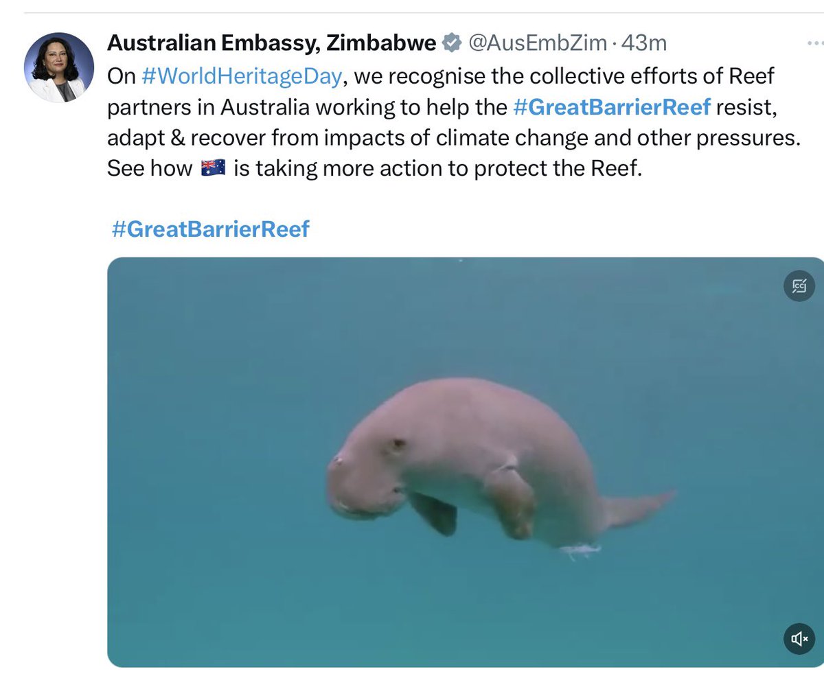 Australian diplomats are on-message tonight…. No mention of the 5th mass coral bleaching and mortality event in just 8 years, right now on the Great Barrier Reef……