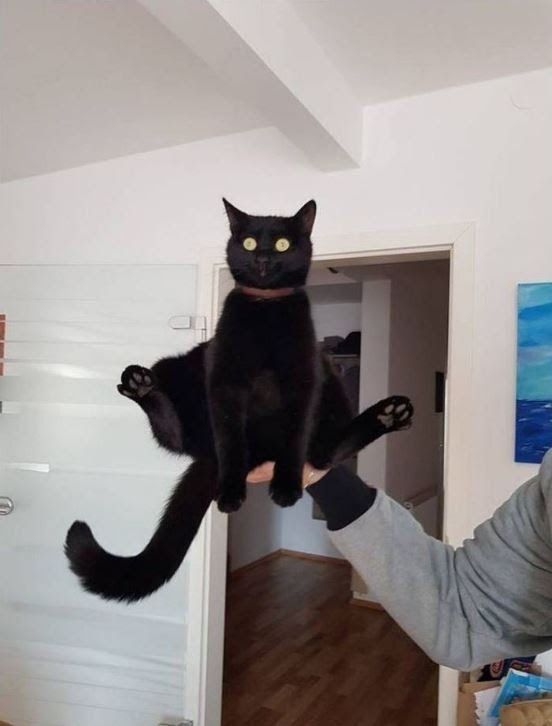 It’s dangerous to go alone. Take this.