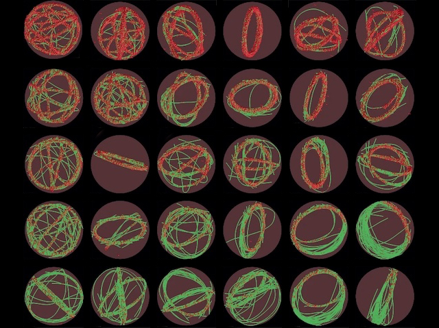 Computer modelling to understand how interaction of networks of actin with droplets of the actin binding protein VASP influences cytoskeletal architecture. Image & research by @Aravindcsn et al @ucsd_mae in @NatureComms. On bpod.org.uk/archive/2024/4…