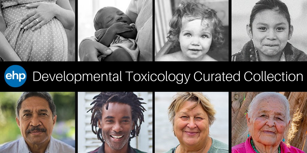 EHPonline's tweet image. Did you know the 2023 JCR ranked EHP 3rd among 94 toxicology journals? EHP and @JHP_online are interested in a wide range of #toxicology research topics. Developmental toxicology studies are highlighted in a recent #curatedcollection ➡️ bit.ly/3qmbTEv @ctdc2024 @IUTOX