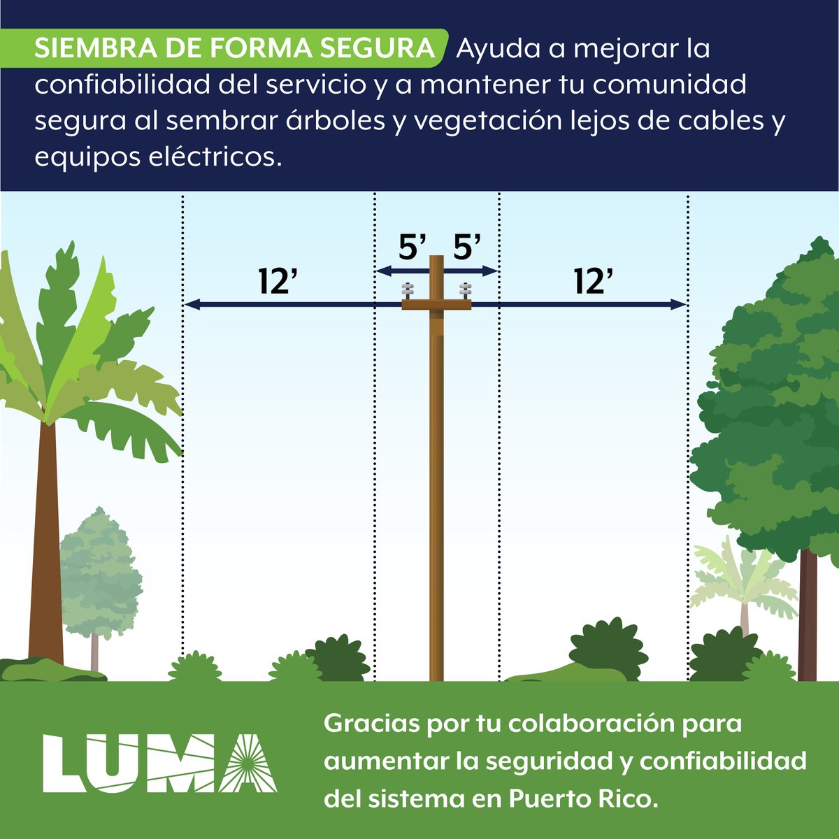 Sembrar árboles ayuda a embellecer nuestra isla. Recuerda elegir uno adecuado y siémbralo a una distancia segura de líneas de distribución y equipos eléctricos para reducir las interrupciones y garantizar tu seguridad. Para árboles, son 12 pies; para arbustos, son 5 pies.