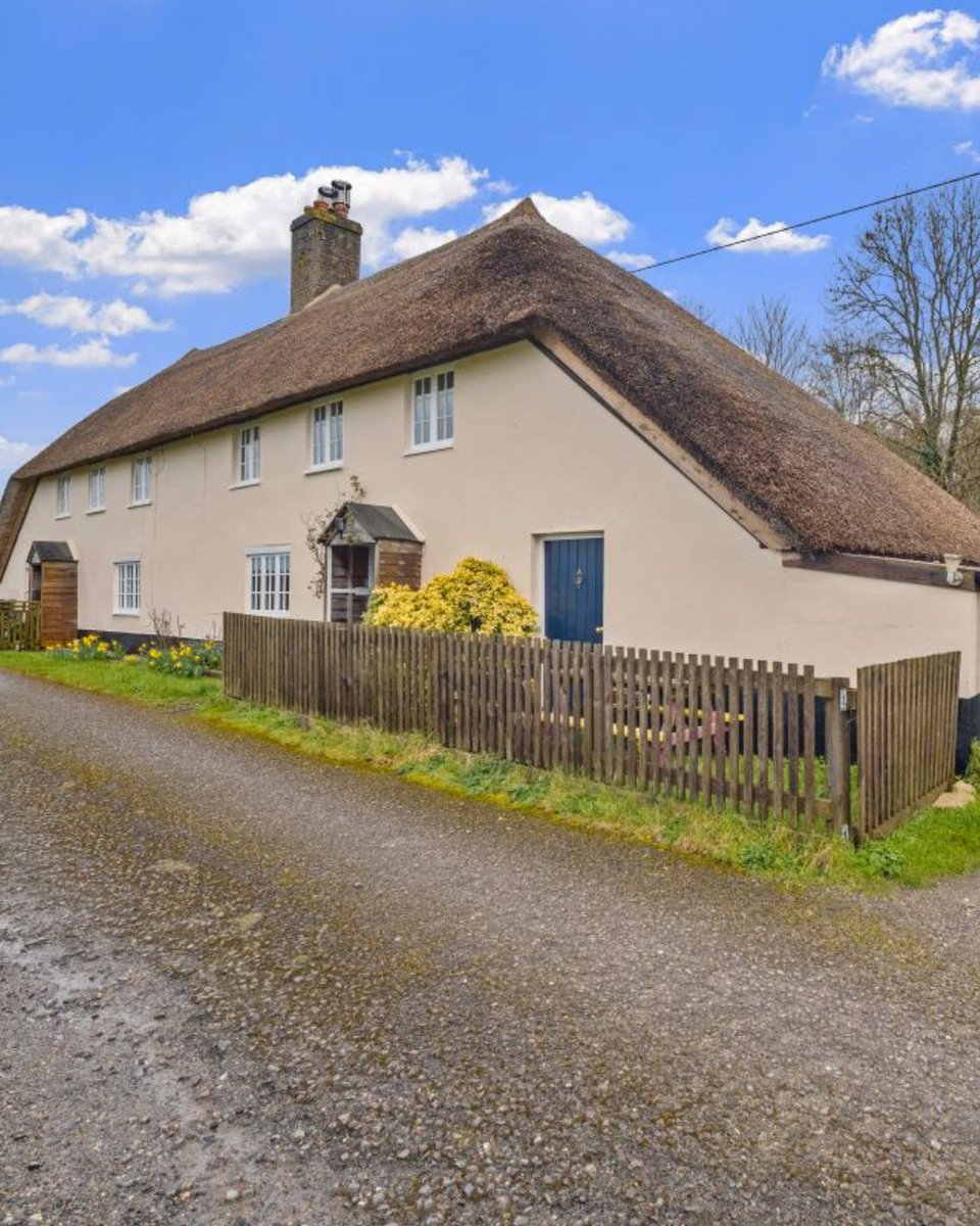 Network Auctions tweet media