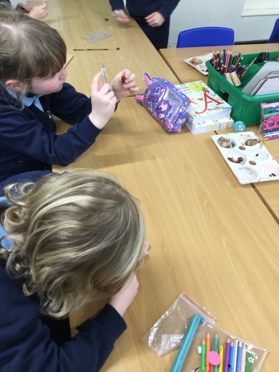 CCCRPrimary's tweet photo. After examining seeds with a magnifying glass the children were able to answer todays question - Are all seeds the same?
#cccrscience https://t.co/YsqDhLp8QF
