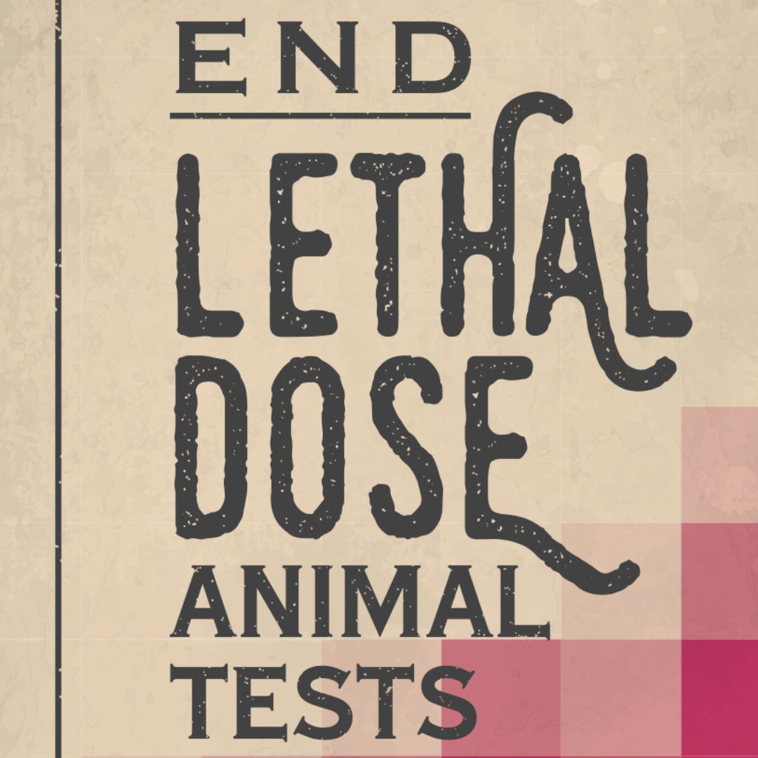 AnimalAid's tweet photo. We part-funded @xcellr8labs humane alternative to the barbaric LD50 animal test. We partnered with Lush for a series of campaign actions!
#BetterScience #ItsNotScienceItsViolence #WDAIL https://t.co/deQroEzEUt