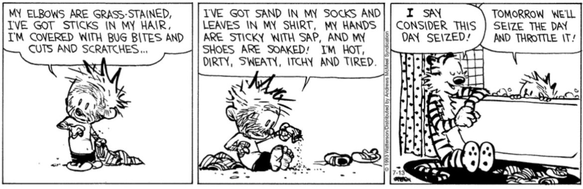 Exactly 😌 #CalvinandHobbes