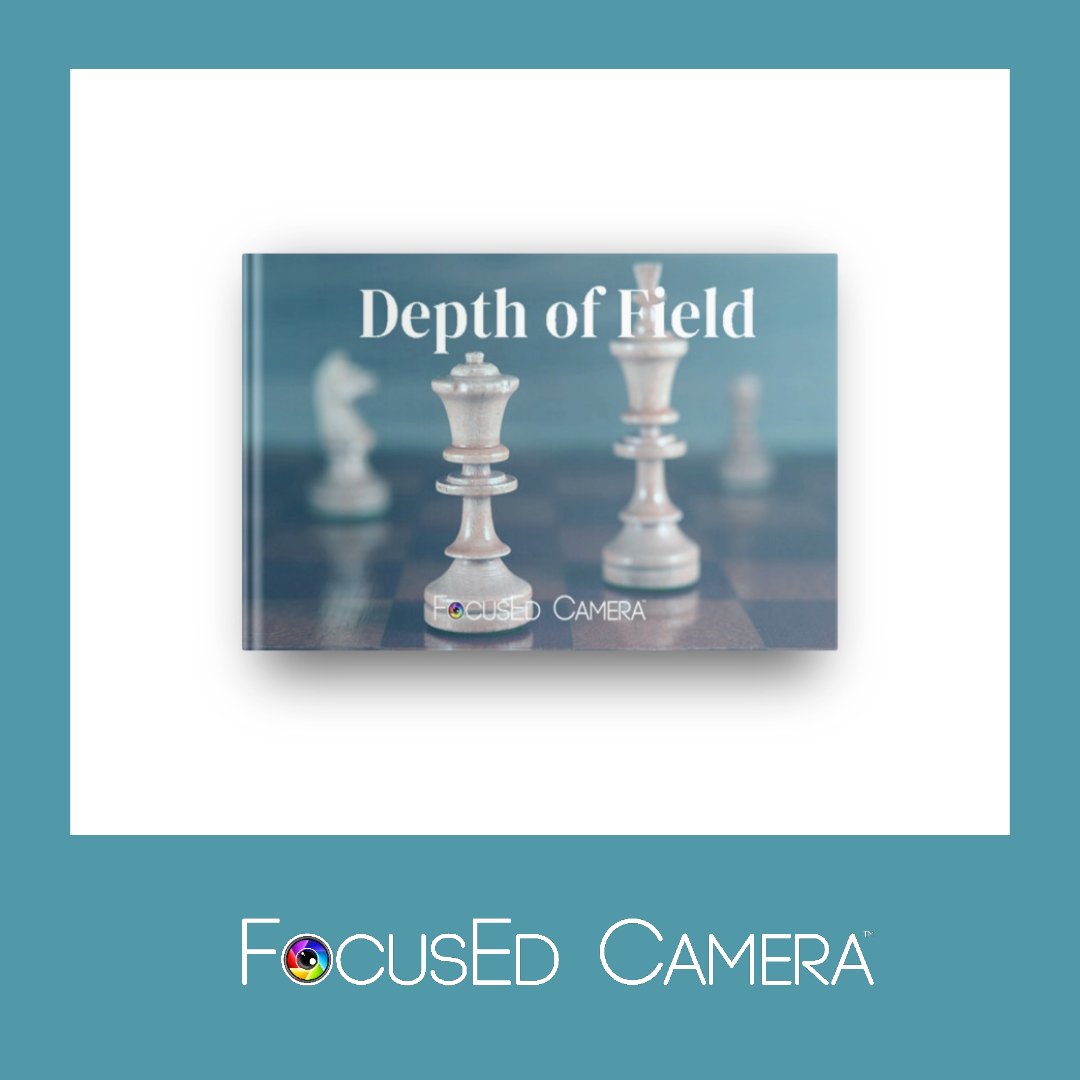 A photographer's secret superpower is controlling depth of field! Achieve beautiful bokeh and master hyperfocal distance!

Free to download e-book (written by me, not AI) focusedcamera.net

#depthoffield #photography #photographytips #supporthumans #ebook #free