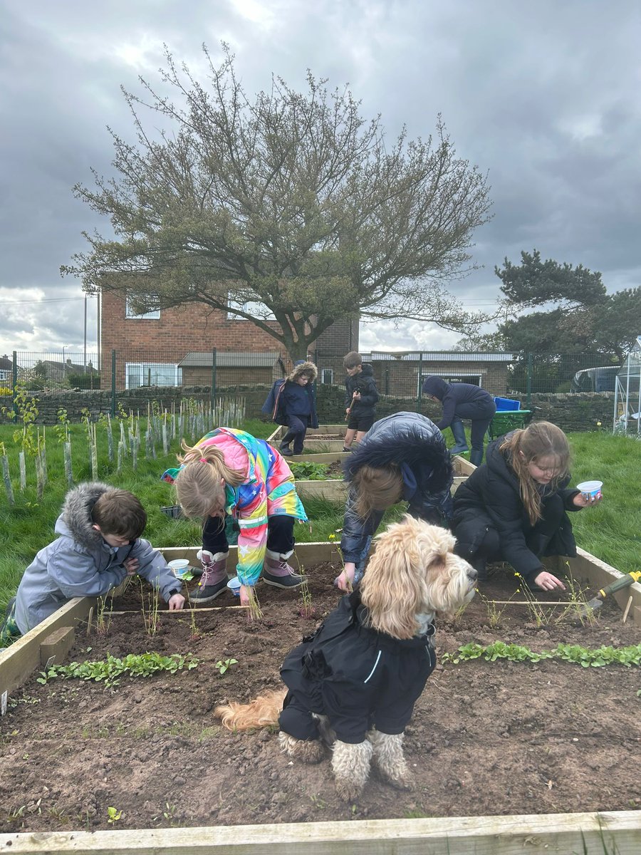 Here are some more lovely Wild Wednesday photos !!
Including our four legged friend and Wild Wednesday team member Woody ♥️🐶🌱 #wildwednesday #westbrettonschool