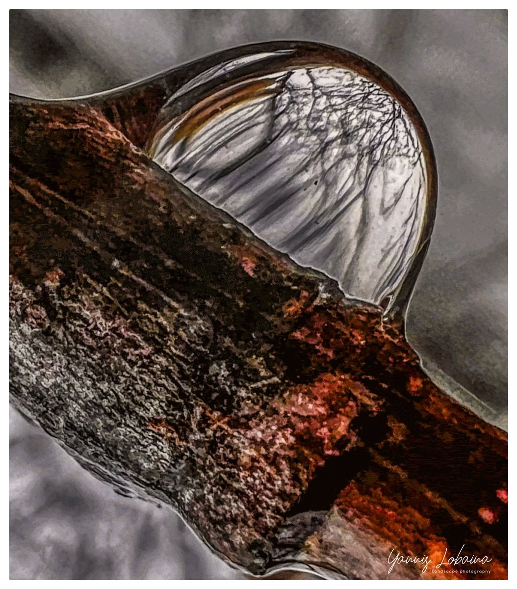 yannis_lobaina's tweet photo. In love with #rainningday📷 Do you like walking in the rain 📷?This photograph called Planet Earth Mood, #planetearthmood #EarthDay2024 #takecaretheplanet #timeformeditation #walkingmeditation #solitude #embracealltheseasons #newseriesofphotography #yannislobainaphotography https://t.co/jn58lO5qPI