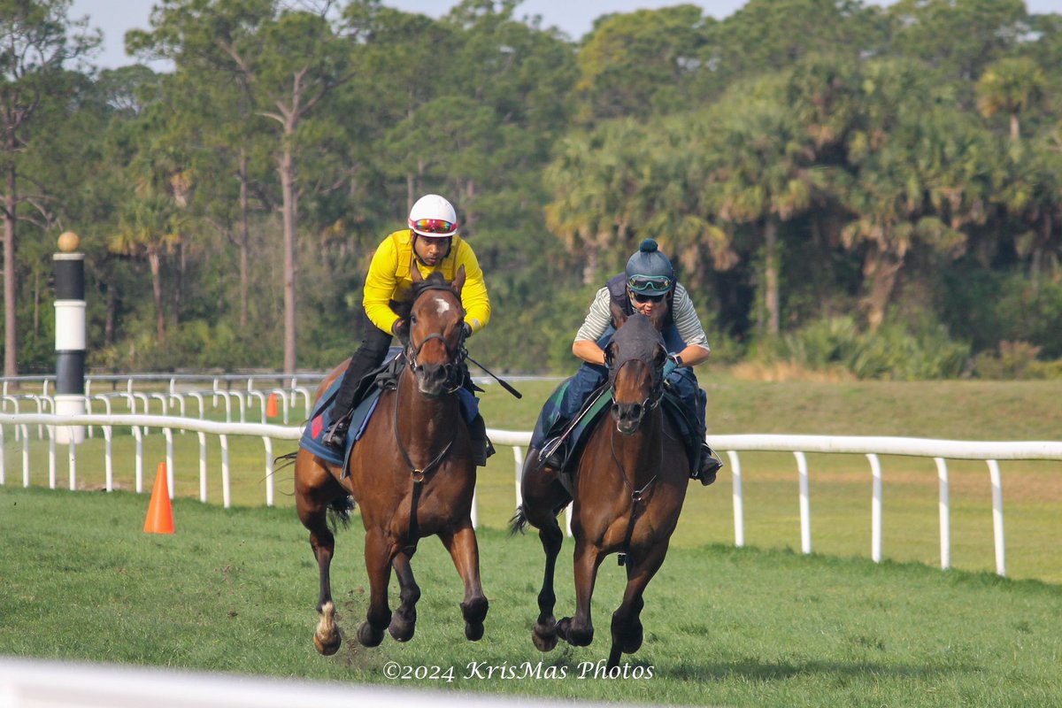 KrisMasPhotos's tweet photo. @payson_park @RachelHalden @RogerAttfield1 #KrisMasPhotos #horseracing #thoroughbredracing #equinephotography #canonphotography https://t.co/Fb2kkTpc3v