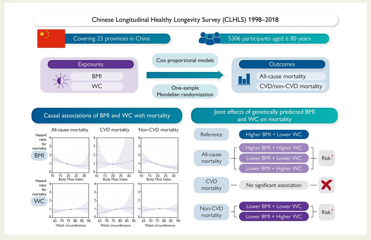 Body mass index, waist circumference, and mortality in subjects older than 80 years: a Mendelian randomization study. academic.oup.com/eurheartj/adva… #BMI #outcome #older @escardio @ESC_Journals