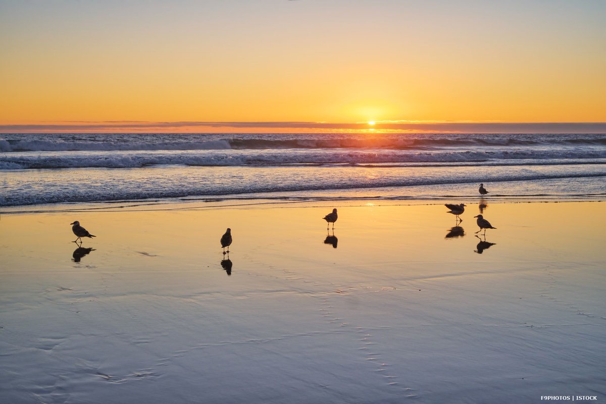AlgarveLets's tweet photo. Algarve is the perfect holiday destination for all budgets and tastes 👉🏻  https://t.co/8oOCm0VNoQ

#holidayalgarve #selfcatering #getaway #algarveholidaylets https://t.co/RlLZXKFAuE
