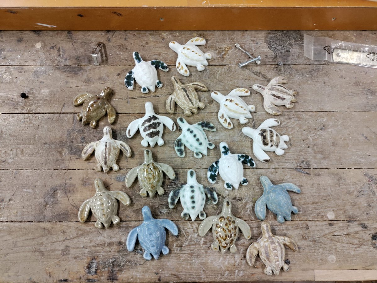OceanLearn's tweet photo. New Exhibition Alert!💡The WiseSands, by Mireia Bes i Garcia, is now available. Follow the globe-trotting turtles of this #exhibition to explore the story of the #climatechange threat to our #ocean and the resilience and wisdom of the sea turtles.

👇https://t.co/MLzuoj5zxU https://t.co/kvr4GhRzPI