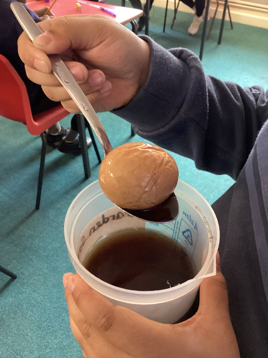 Summer 1 in 4A has started with one of our favourite activities- a scientific experiment! 
We are investigating the effect of different liquids on our teeth. We have placed boiled eggs into 5 different liquids and we are checking on them everyday! 👩🏽‍🔬🔬
<a href="/paganelschool/">Paganel Primary</a>