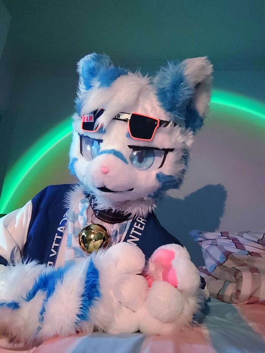 翼虎🐯大武 tweet media