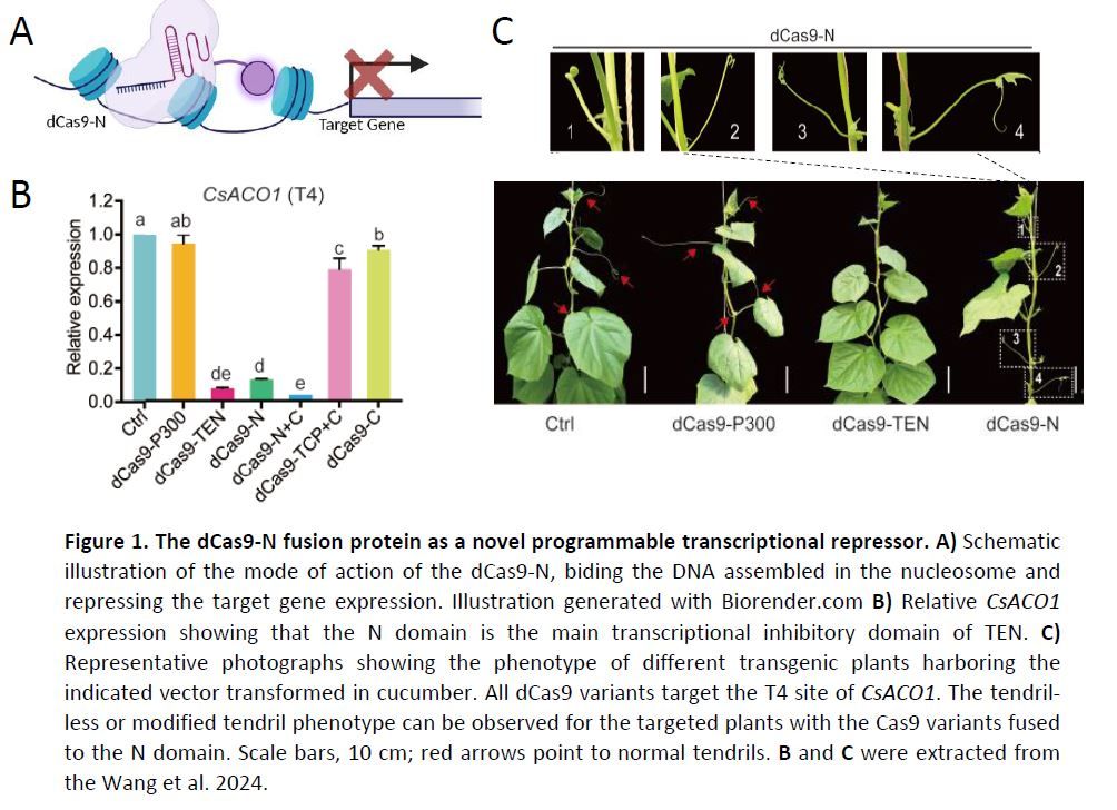 Plant Physiology tweet media