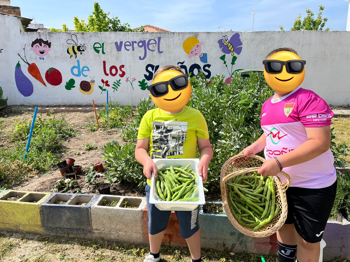 lygobu's tweet photo. #claustrovirtual La recolecta del día! Nuestro huerto no para de darnos cosas buenas, ricas y sanas! Promoviendo una buena alimentación saludable ☺️@azaruski @maestrofrantic @tonibernabeu123 @escuela21org @RossellimacEDU @educlaustro @franqv15 @imgende https://t.co/sQSZ8AWFHT