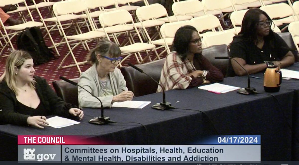 UA extends our deep thanks to @CMRitaJoseph and the Committee Chairs for hosting a critical hearing for NYC. Ania on the UA SEL team was honored to testify in support of a resolution proclaiming #SELDay, ensuring social-emotional skill development remains a priority for NYC.