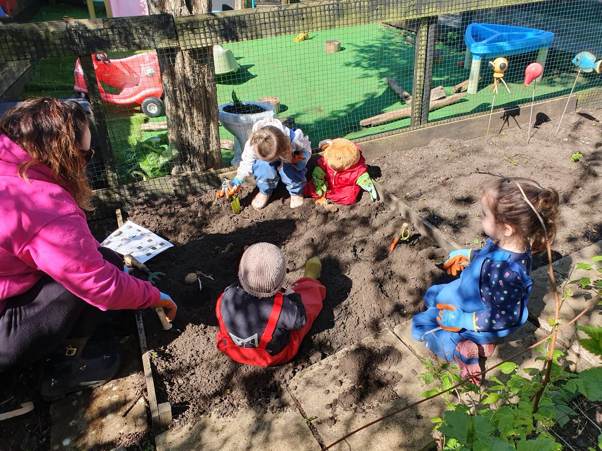 Tirion 🧸 enjoyed the allotment this morning 🦻🪴🌿🥔☀️ #inclusive #earlyyears #HealthyLife #barryisland #teddycarecommunity #growyourown @Cath_Perry_ @CV_UHB @EarlyWales @mmewcav @PACEYCymru @VictoriaExtence
