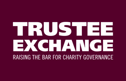 Our team are very excited to be speaking at the Civil Society Trustee Exchange Conference on the 24 April. If you are going, look out for our speakers Alex Skailes, Lynne Berry, Veronique Jochum, Leila Baker #BayesCCE #TrusteeExchange