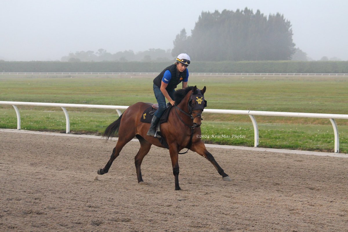 KrisMasPhotos's tweet photo. #paysonpark #wesleywardracing #KrisMasPhotos https://t.co/i87oUJJhz7
